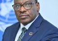 Tribune libre: Les minéraux critiques de la SADC peuvent alimenter la transformation structurelle de l’Afrique