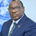 Tribune libre: Les minéraux critiques de la SADC peuvent alimenter la transformation structurelle de l’Afrique