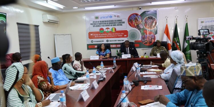 Adaptation au changement climatique au Sahel Central: les enfants et les jeunes au centre des préoccupations de l’Unicef et la CCRS